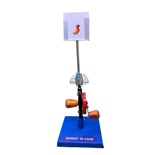 Parrot in Cage Model
